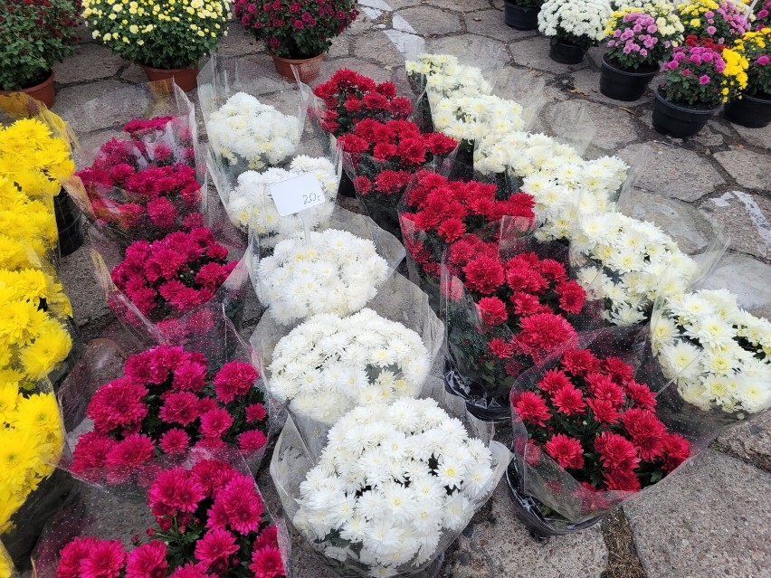 Chodzież: na Targowisku Miejskim duży wybór stroików i żywych kwiatów na cmentarz. Jakie ceny?
