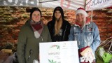 Jarmark bożonarodzeniowy i akcja charytatywna w Brodnicy. Zobacz wideo
