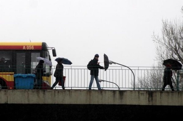 Ksawery połamał drzewa i zniszczył dachy