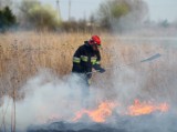 Pożary traw w Piotrkowie