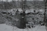 Piękna zima w powiecie ostrowieckim. Okolice rzeki Kamiennej zachwycają (ZDJĘCIA) 