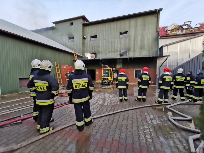 Pożar w zakładzie przetwórstwa chmielu w Kępie Choteckiej. Akcja gaśnicza trwała niemal cały dzień. Zobacz zdjęcia