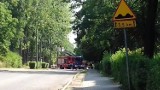 Bytom: Nawałnica w Miechowicach.Powalone drzewa i zerwane poszycie dachowe [ZDJĘCIA]