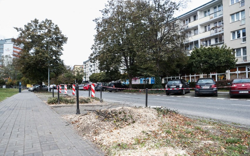 Drzewa przy Słowackiego w Rzeszowie wycięte. Nie pomogły protesty mieszkańców. Miasto: Petycja przyszła zbyt późno