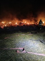 Płonna (gmina Staroźreby). Pożar ścierniska mógł zagrozić mieszkańcom pobliskiego domu [ZDJĘCIA]