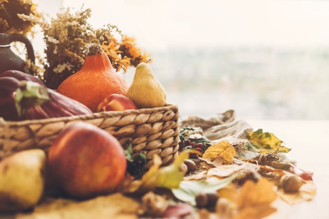 Październik to ostatni dzwonek na zbieranie ziół i dzikich owoców przed nadejściem zimy. Z tych produktów możesz przygotować mieszanki ziołowe lub zrobić smaczne przetwory. Co warto zbierać w październiku?