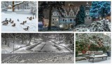 Wyjątkowe zdjęcia Brzegu w zimowej scenerii. Zobaczcie fotografie wykonane przez Jana Androsa [ZDJĘCIA]