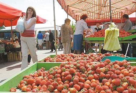Na rynku w Pabianicach dominują jeszcze wczesne odmiany truskawek