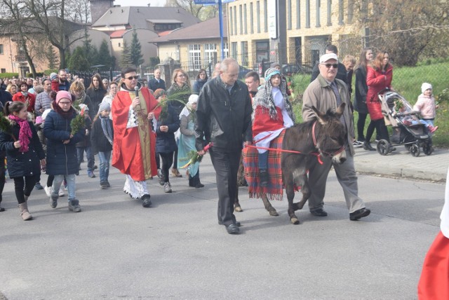 Niedziela Palmowa u franciszkanów w Tychach