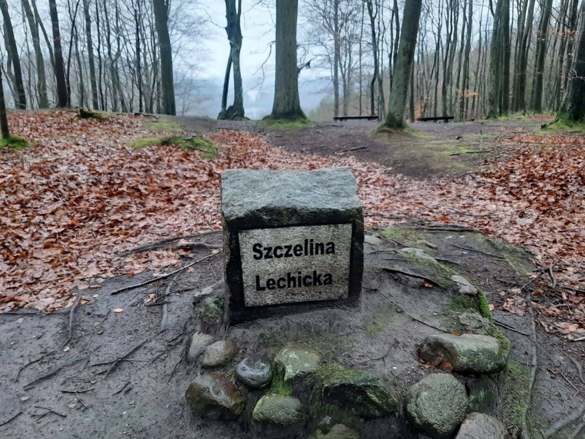 Atrakcyjna ścieżka turystyczno-historyczna "Tajemnice Lasów...
