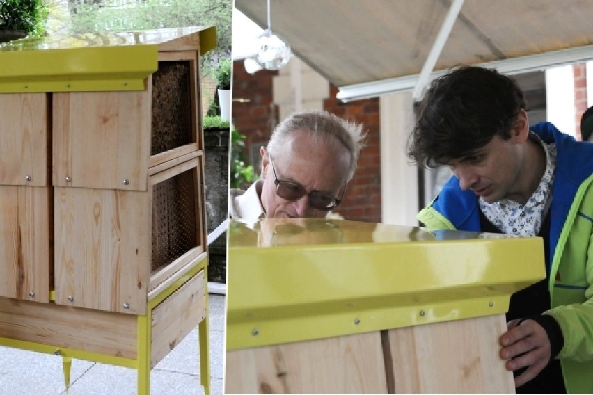 100 hoteli dla pszczół akcja Greenpeace "Adoptuj Pszczołę"