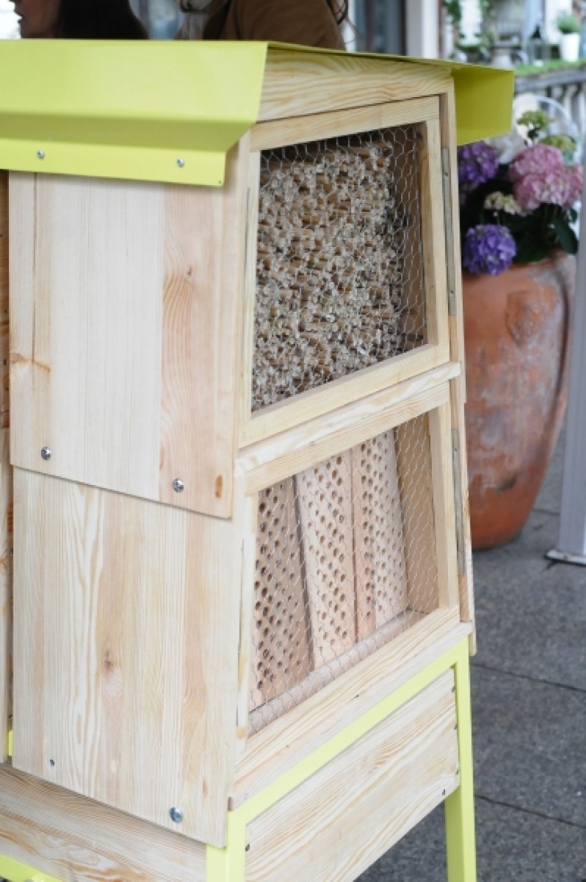 100 hoteli dla pszczół akcja Greenpeace "Adoptuj Pszczołę"