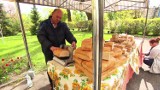 Festiwa Chlebów Świata. Pyszne wypieki ukazują piekarnicze tradycje