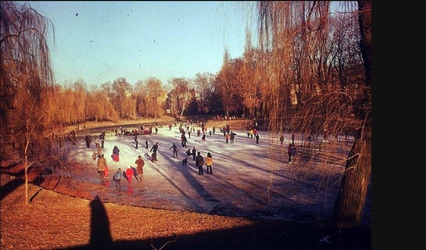 Park miejski w Kielcach w zimowej szacie to już zapomniany...