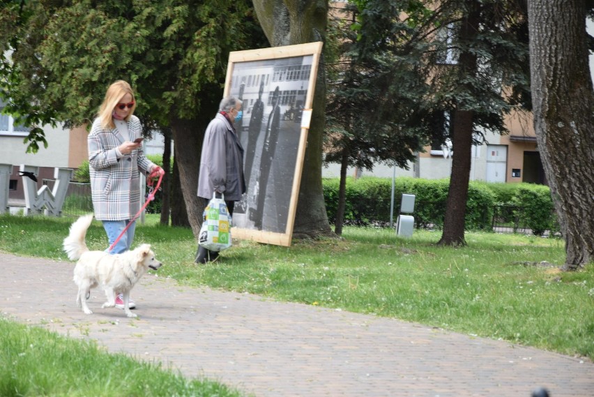 Plenerowa wystawa „Człowiek w pejzażu miasta" w centrum Wielunia[FOTO, WIDEO]