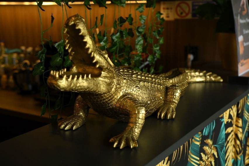 Ruszył Festiwal Makaronu "Jesz ile chcesz" w restauracji Koko Złoty Krokodyl w centrum Kielc. Zobacz zdjęcia i film