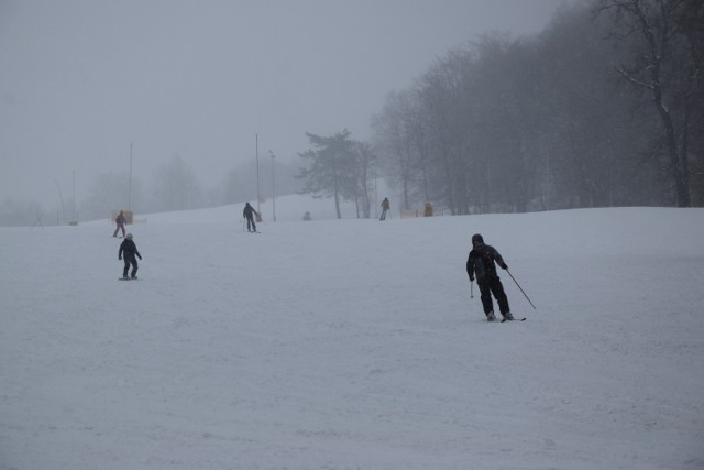 Warunki do jazdy na nartach i desce w Puławach Górnych są doskonałe.