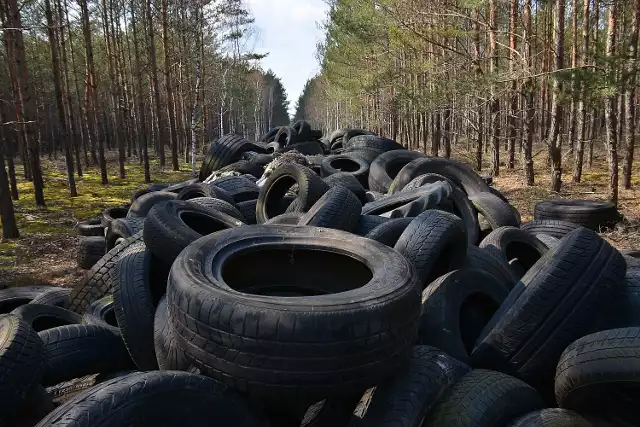 Ten widok poraża. Setki opon trafiły do lasu przy drodze Brody - Zasieki!