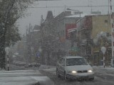 Majowy atak zimy w Radomsku. Jak poradziliśmy sobie z kapryśną pogodą?