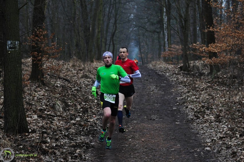 City Trail w Katowicach - zdjęcia z finałowego biegu [28 luty 2016]