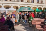 Weekend w Szczecinie. Sprawdź najlepsze wydarzenia [WIDEO]