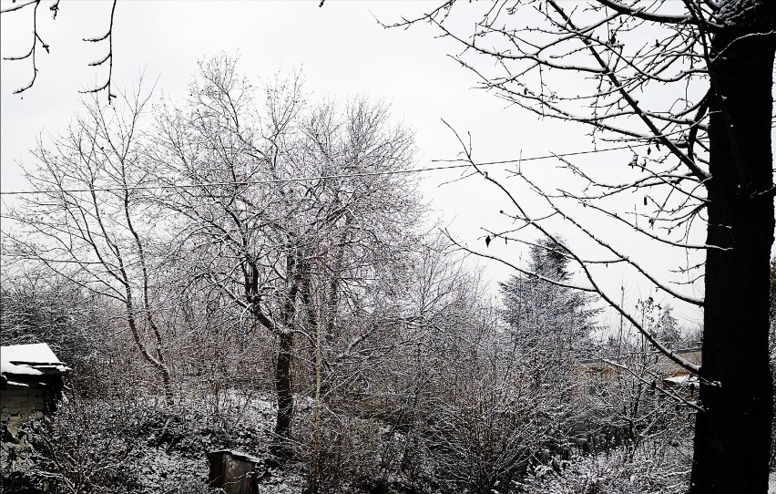 Mieszkańcy Kraśnika przysłali zimowe zdjęcia. Zobaczcie galerię fotografii zimy 2020 w Kraśniku