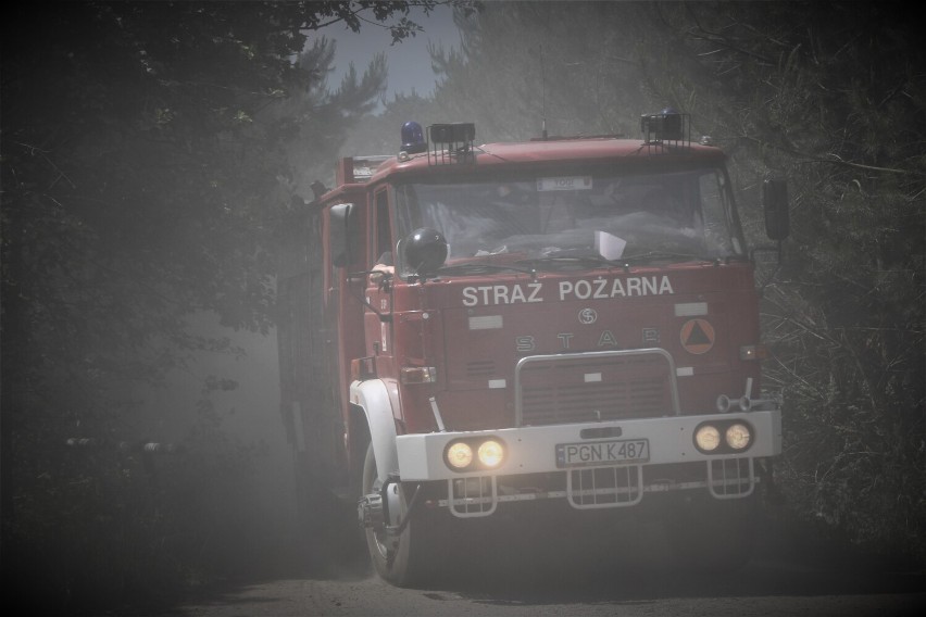 Pożar lasu tuż za granicą powiatu! Użyto samolotu gaśniczego [FOTO]