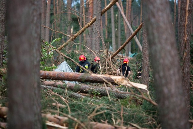 Wywóz drewna z lasów po nawałnicy powoduje, że niszczone są drogi