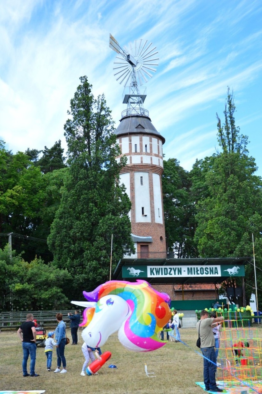 Rodzinny piknik stowarzyszenia KwidzyMamki już w najbliższą niedzielę. Zapraszamy na Miłosną! 