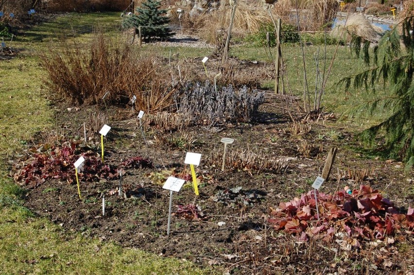 Już wiosna na Kaszubach - byliśmy w Ogrodzie Botanicznym w Gołubiu