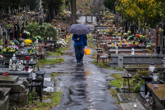 CMENTARZ WE WŁOCHACH 
W dniu 1 listopada (środa, Wszystkich Świętych) zamknięta dla ruchu samochodów indywidualnych będzie ul. Ryżowa na odcinku od ul. Kleszczowej do al. 4 Czerwca 1989 r.
 
CMENTARZ NA TARCHOMINIE
W dniu 1 listopada (środa, Wszystkich Świętych) zamknięte dla ruchu samochodów indywidualnych będą ulice: 
• ul. J. Mehoffera na odcinku od ul. Topolowej do ul. Myśliborskiej
• ul. Majolikowa na odcinku od ul. Pomorskiej do ul. J. Mehoffera

CMENTARZ CZERNIAKOWSKI 
W dniu 1 listopada zostanie wprowadzony zakaz zatrzymywania na wschodniej jezdni (w kierunku centrum) ul. Powsińskiej od ul. św. Bonifacego do ul. B. Limanowskiego.

CMENTARZ NA SŁUŻEWIE
W dniu 1 listopada zostanie wprowadzony zakaz zatrzymywania na ul. Wałbrzyskiej od ul. J.S. Bacha do ul. Dominikańskiej.  

CMENTARZ W ZERZNIU
W dniu 1 listopada zostanie wprowadzony zakaz zatrzymywania na ul. Trakt Lubelski od ul. Cylichowskiej do ul. Borków. 

W dniach 28 i 29 października (sobota i niedziela) i 1 listopada (środa, Wszystkich Świętych) zamknięta dla samochodów będzie północna jezdnia (w kierunku ul. Marszałkowskiej) ul. Królewska od ul. Mazowieckiej do ul. Marszałkowskiej (będzie zarezerwowana dla autobusów komunikacji miejskiej).

Czytaj też:
Cmentarze w Warszawie. Jak dojechać? [ZMIANY W RUCHU, rozkład, dojazd INFORMATOR]