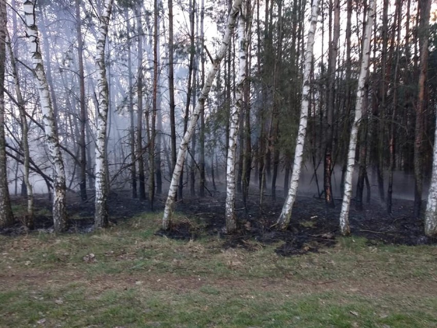 Pożary w Piaszczycach, Pągowie i Kamieńsku. Kolejne podpalenia