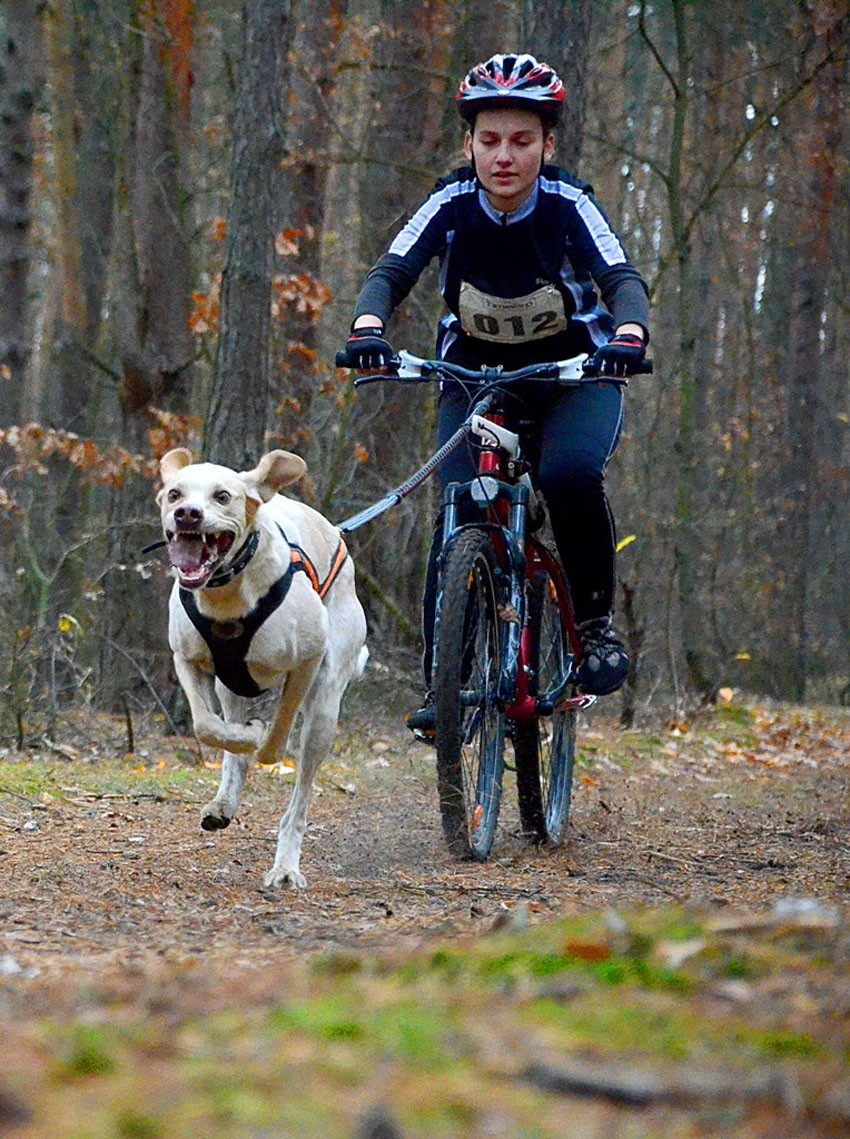 Milena Jezierska wicemistrzyni Polski w bikejoringu