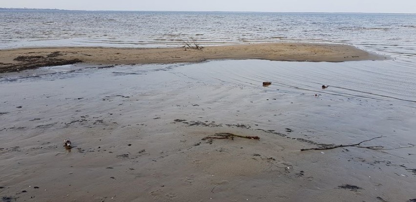 Plaża i park w Pucku pełne szkła, kwiecień 2018