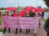 Marsz Różowej Wstążki przeszedł ulicami Opoczna. Mieszkanki regionu zachęcały do badań ZDJĘCIA