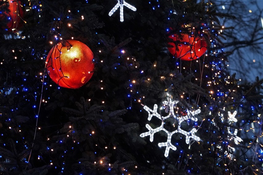 Piękne iluminacje świąteczne w Kruszwicy [zdjęcia]