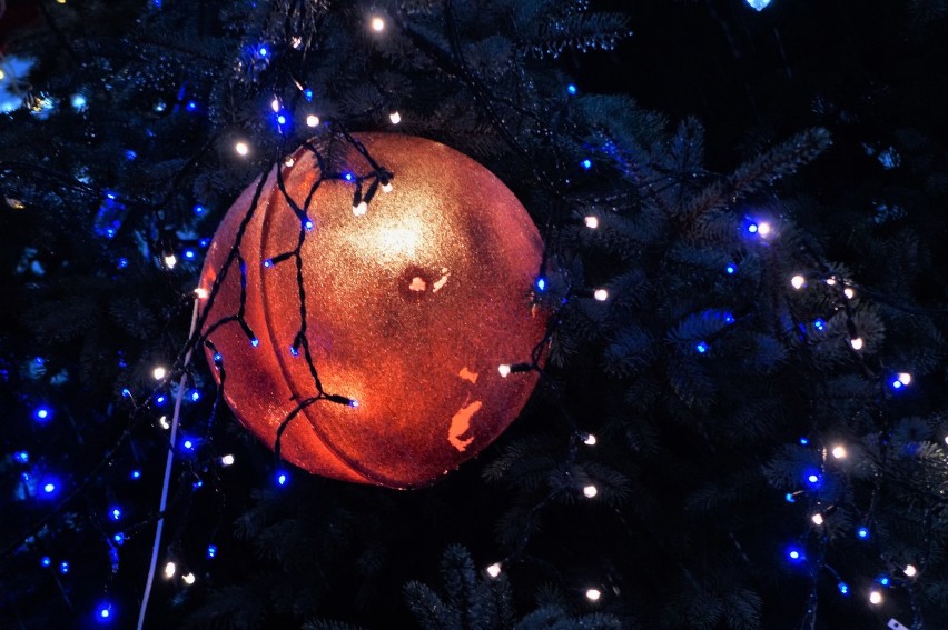 Piękne iluminacje świąteczne w Kruszwicy [zdjęcia]