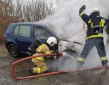 Pożar samochodu i ładowarki pod Skokami. Interweniowali strażacy