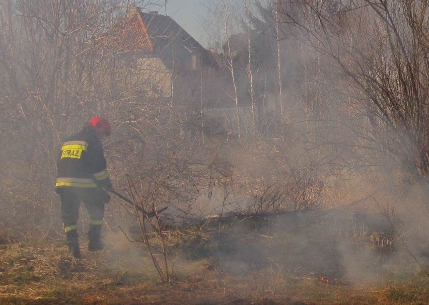 Pożary traw w powiecie malborskim. W okresie 23 lutego-12 marca były 52 takie zdarzenia!