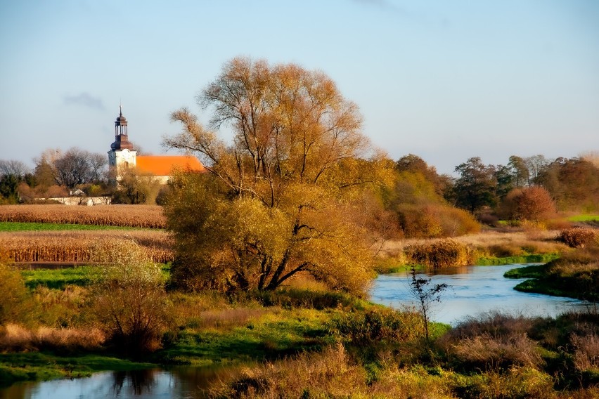 Zdjęcia jak malowane! Rzeka Prosna skąpana w jesiennych barwach. Fotografie Szymona Furmankiewicza zachwycają. Zobacz wyjątkową paletę barw