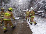 Pracowite dni strażaków w powiecie jasielskim po śnieżnej nawałnicy