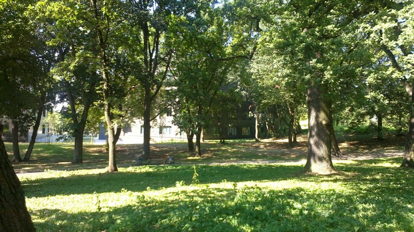 Rozpoczął się remont parku przy ul. Niemierzyńskiej. Będą nowe alejki i plac zabaw