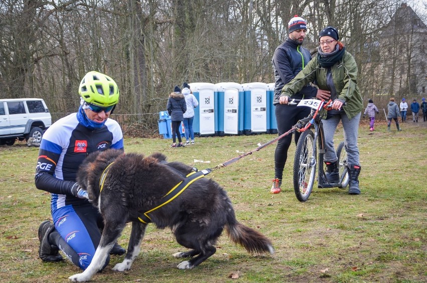 Maszer z Bełchatowa oraz jego czworonogi czekają już tylko,...