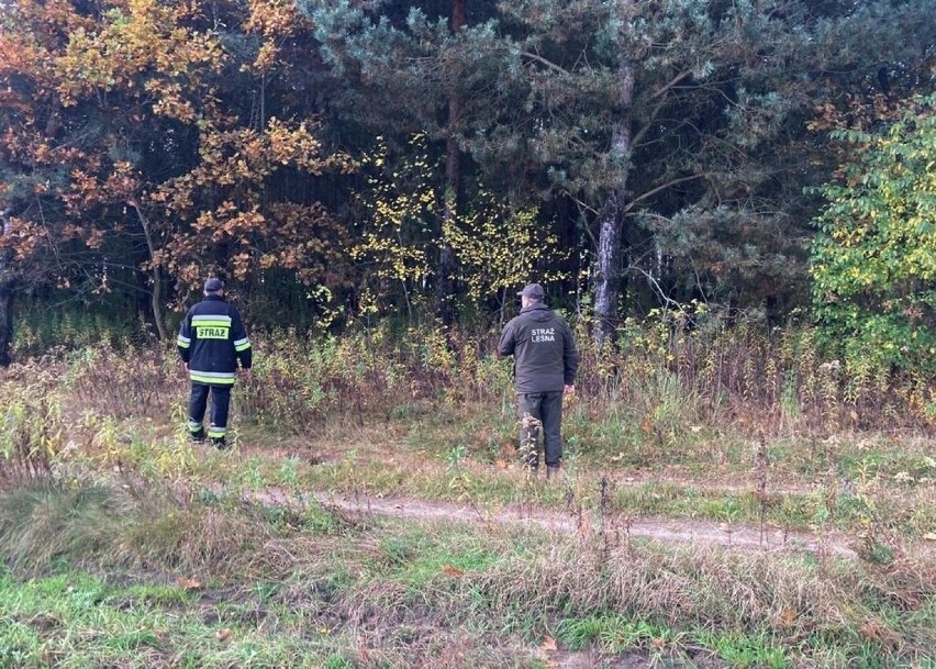 Trwają intensywne poszukiwania zaginionej 31-latki z Nielepkowic [ZDJĘCIA]