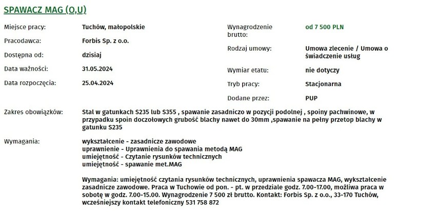 Najlepiej płatne oferty pracy dostępne w Powiatowym Urzędzie Pracy w Tarnowie. Kogo szukają pracodawcy z Tarnowa i regionu końcem kwietnia?