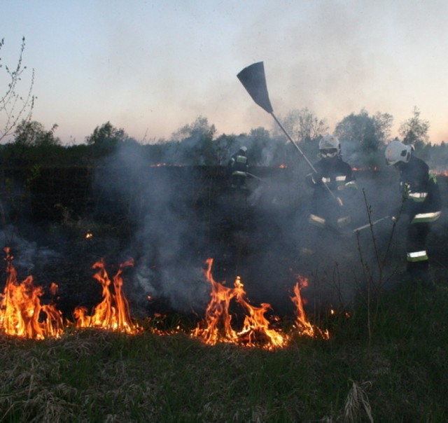 W tym roku strażacy z Gorlickiego wyjeżdżali do pożarów suchych traw już ponad 60 razy, a łączny koszt tych akcji wyniósł około 36 tysięcy złotych. Na tym się jednak najprawdopodobniej nie skończy
