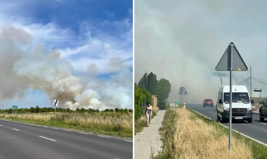 Pożar zboża pod Szczecinem. Strażacy walczą z żywiołem [ZDJĘCIA]