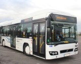 Metrobusem na Nowy Dwór. Miasto ogłosiło przetarg na projekt trasy