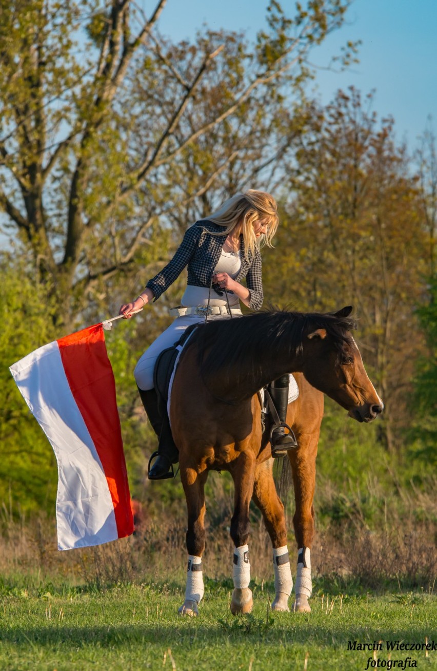 Le Grand Galop. Piknik i zawody w ujeżdżeniu w Wiskitnie