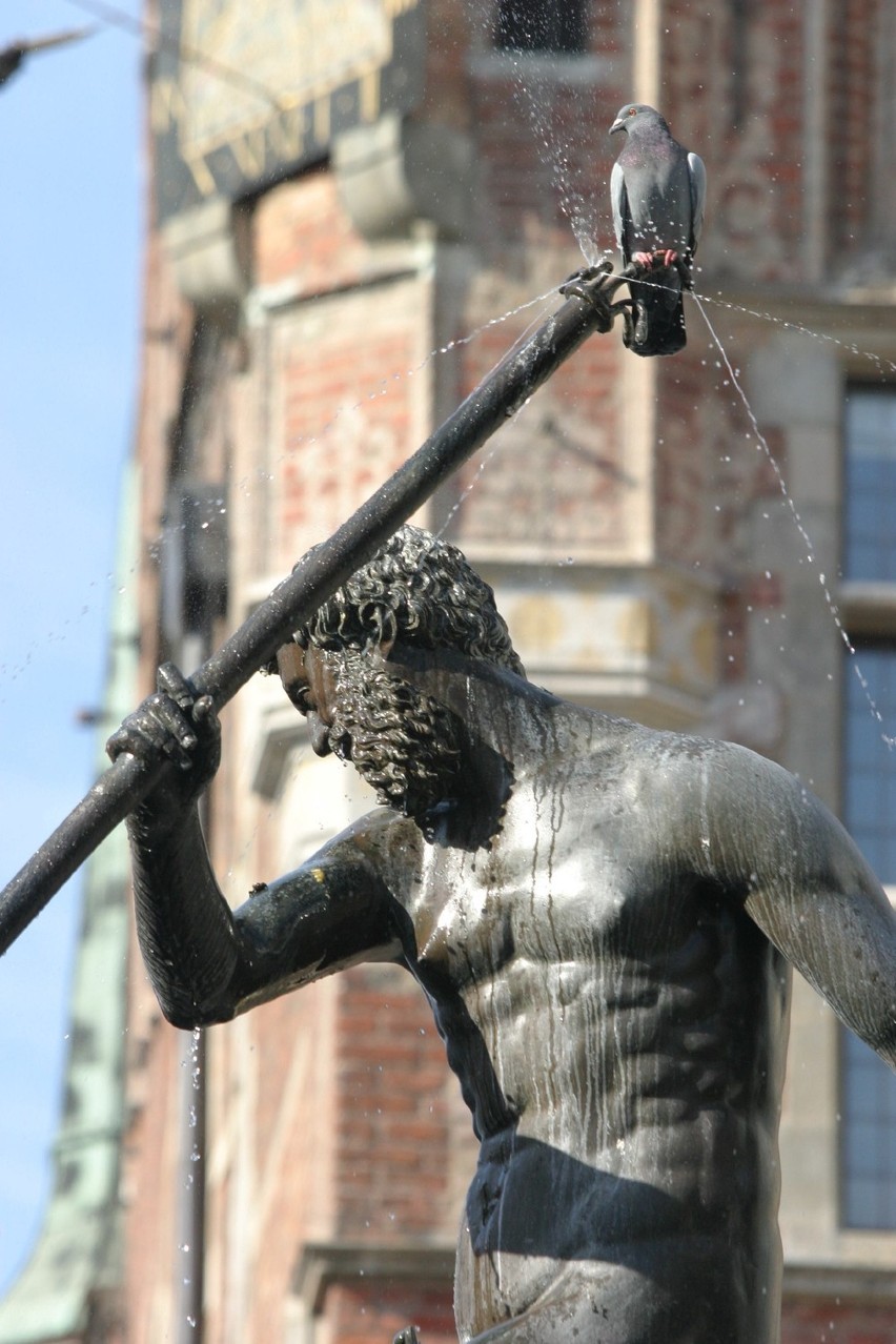 Król wyrwie się z ram Gdańska. Remont Fontanny Neptuna